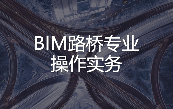 BIM路桥专业操作实务